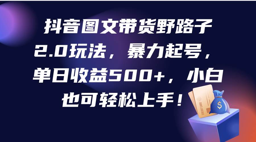 抖音图文带货野路子2.0玩法，暴力起号，单日收益500+，小白也可轻松上手！-天天有课网