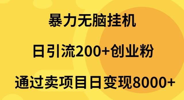暴力无脑挂机日引流200+创业粉通过卖项目日变现2000+-天天有课网