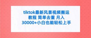 tiktok最新风景视频搬运教程 简单去重 月入30000+附全套工具-天天有课网