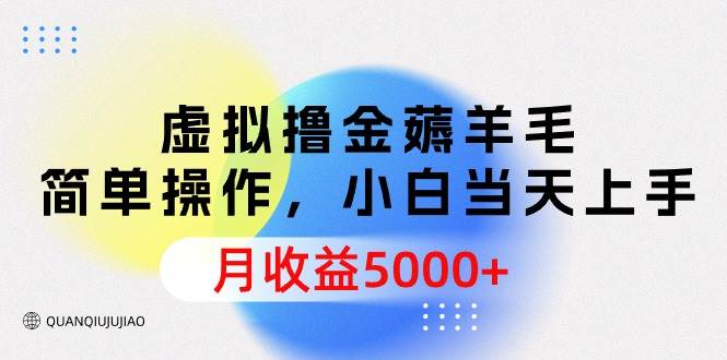 虚拟撸金薅羊毛，简单操作，小白当天上手，月收益5000+-天天有课网