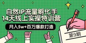 自然IP流量孵化手 14天线上实操特训营【第9期】月入5w+百万爆款打造 (74节)-天天有课网