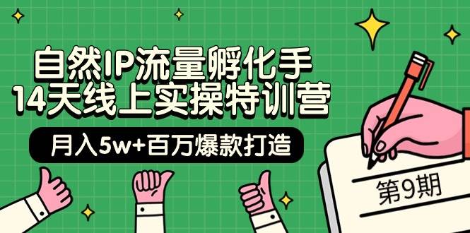 自然IP流量孵化手 14天线上实操特训营【第9期】月入5w+百万爆款打造 (74节)-天天有课网