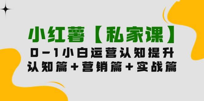 小红薯【私家课】0-1玩赚小红书内容营销，认知篇+营销篇+实战篇（11节课）-天天有课网