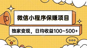 微信小程序保赚项目，独家变现，日均收益100~500+-天天有课网