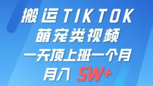 一键搬运TIKTOK萌宠类视频 一部手机即可操作 所有平台均可发布 轻松月入5W+-天天有课网