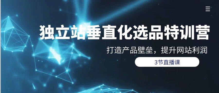 独立站-垂直化选品训练营，打造产品壁垒，提升网站利润（3节直播课）-天天有课网