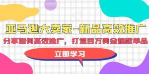 亚马逊 大卖家-新品高效推广，分享如何高效推广，打造百万美金爆款单品-天天有课网