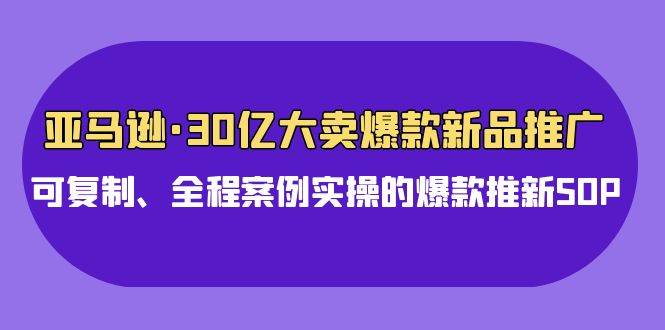 亚马逊30亿·大卖爆款新品推广，可复制、全程案例实操的爆款推新SOP-天天有课网