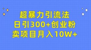 超暴力引流法,日引300+创业粉,卖项目月入10W+-天天有课网