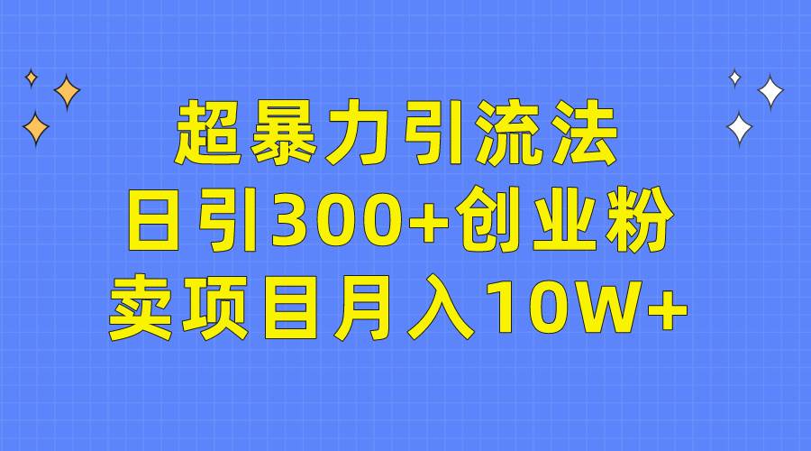 超暴力引流法，日引300+创业粉，卖项目月入10W+-天天有课网