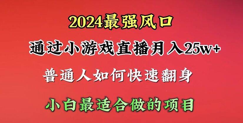 2024年最强风口，通过小游戏直播月入25w+单日收益5000+小白最适合做的项目-天天有课网