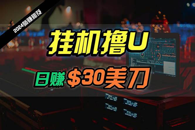 日赚30美刀，2024最新海外挂机撸U内部项目，全程无人值守，可批量放大-天天有课网