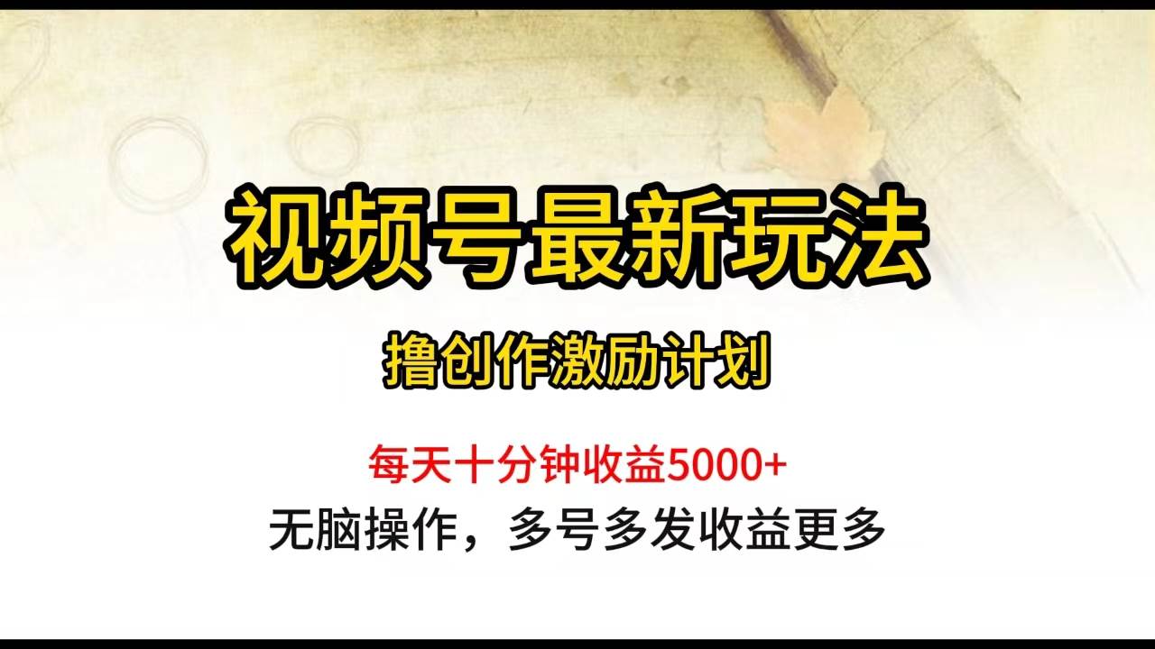 视频号最新玩法，每日一小时月入5000+-天天有课网