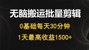 每天30分钟,0基础无脑搬运批量剪辑,1天最高收益1500+-天天有课网