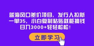 蓝海风口价格差新项目，外国投资者引流，一单35，新手拷贝就可弄钱！日入30…-天天有课网