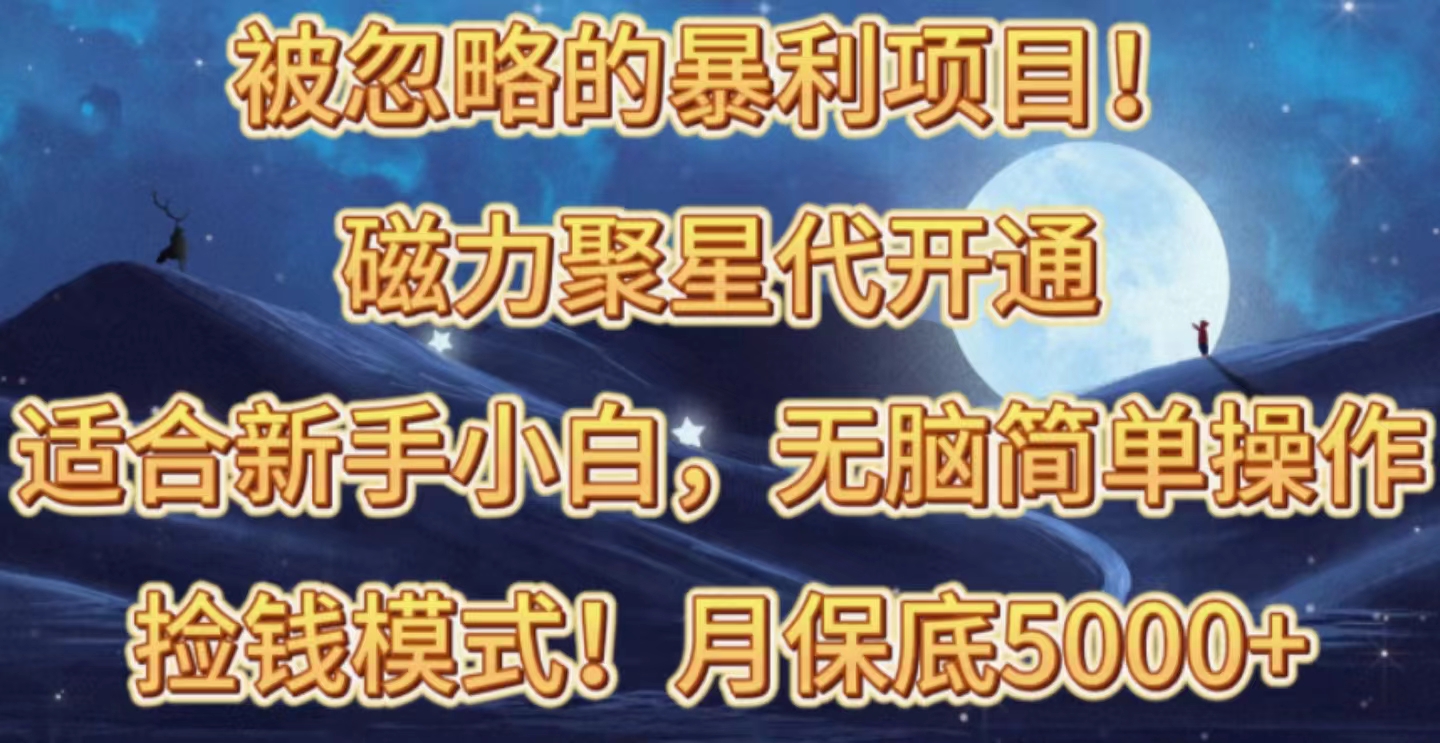 被忽视赚钱项目！磁力聚星代开启拾钱方式，轻轻松松月入五六千-天天有课网