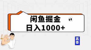 闲鱼平台暴力行为掘金队新项目,轻轻松松日入1000-天天有课网