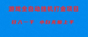 自动式游戏打金搬砖项目,日入1000  新手没脑子入门-天天有课网