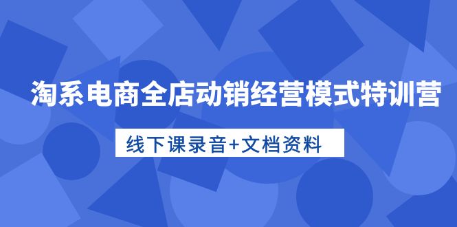 淘宝电子商务全店动销运营模式夏令营，面授课音频 档案文件-天天有课网