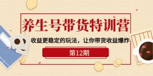 健康养生号卖货夏令营【12期】盈利更稳定的游戏玩法,使你卖货盈利发生爆炸-9节视频课堂-天天有课网
