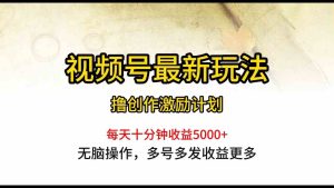 视频号最新玩法,每日一小时月入5000+-天天有课网