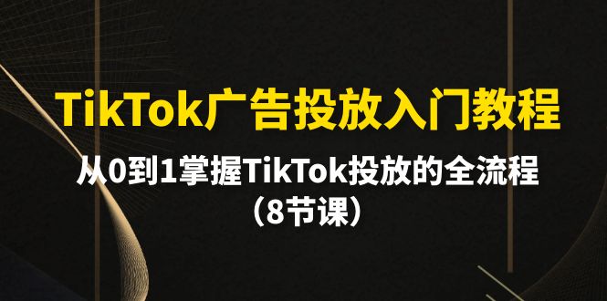 TikTok广告营销基础教程，从0到1把握TikTok推广等各个环节-天天有课网