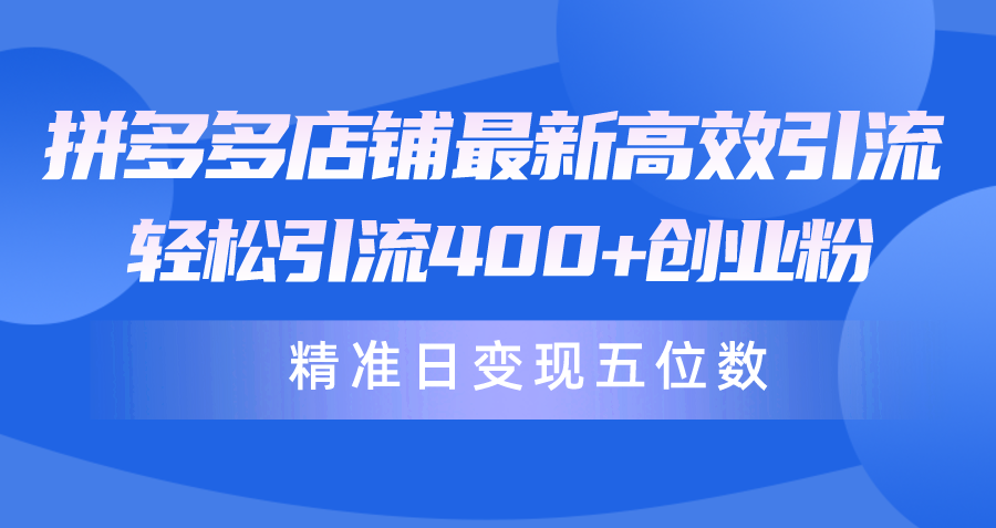 拼多多商家全新高效率引流术，轻轻松松引流方法400 自主创业粉，精确日转现五位数！-天天有课网