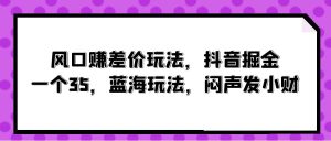 风口赚差价玩法,抖音掘金,一个35,蓝海玩法,闷声发小财-天天有课网