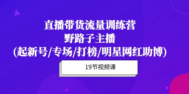 直播卖货总流量夏令营，歪门邪道网络主播(起小号/盛典/冲榜/明星网红助博)19堂课-天天有课网