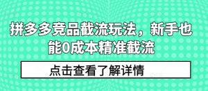 拼多多平台竞争对手截留游戏玩法,初学者也可以0成本费精确截留-天天有课网
