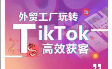 外贸工厂轻松玩TikTok高效率拓客，多种多样推广方式与内容创作方法，拆卸爆款短视频打造成功实例-天天有课网