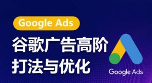 谷歌广告高级玩法和优化,凝固领域精华谷歌广告管理体系课程内容,陪你把握住互联网红利,更大化ROI-天天有课网