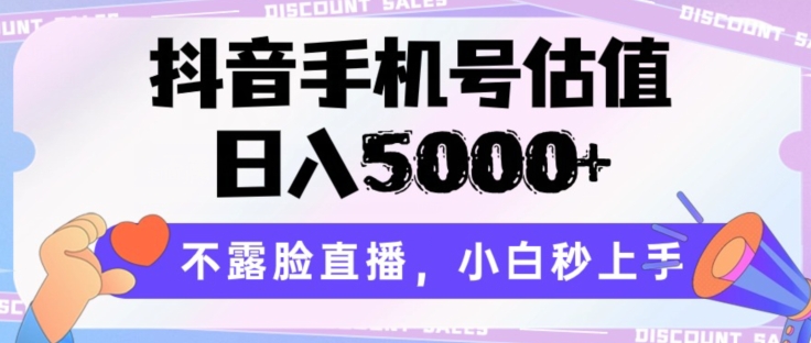 抖音手机号公司估值，日入5000 ，不露脸直播，新手秒入门【揭密】-天天有课网