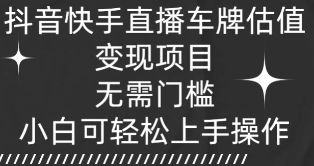 抖音和快手直播间车牌号公司估值转现新项目，不用门坎，小白可快速上手实际操作-天天有课网
