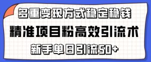 精确新项目粉高效率引流术,初学者单日引流方法50 ,多种变现模式稳定赚钱【揭密】-天天有课网