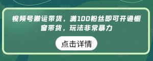 微信视频号运送卖货,满100粉丝们就可以开启橱窗展示卖货,游戏玩法非常暴力【揭密】-天天有课网