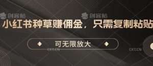 小红书种草手机赚钱,仅需拷贝,可放大化-天天有课网