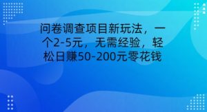 问卷调研新项目新模式,一个2-5元,无需经验,轻轻松松日赚50-200元零花钱-天天有课网