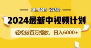 2024全新爆红中视频伙伴游戏玩法，蓝海项目，盈利快，轻轻松松破百万播放视频，日入6000-天天有课网