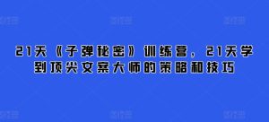 21天《子弹秘密》夏令营，21天学习到顶尖文案高手的思路与技巧-天天有课网