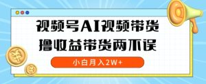 视频号AI视频带货，全程解放双手，撸收益带货两不误，小白月入2W+-天天有课网
