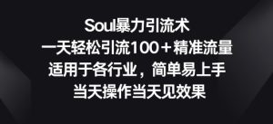 Soul暴力引流术,一天轻松引流100+精准流量,适用于各行业,简单易上手-天天有课网