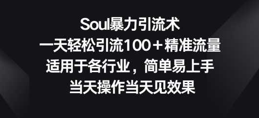 Soul暴力引流术，一天轻松引流100＋精准流量，适用于各行业，简单易上手-天天有课网