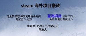 最新投资项目steam打金，运单号日入500-天天有课网