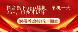 抖音视频集团旗下APP放置挂机，4.0游戏玩法，防出现异常，升级养机方式-天天有课网
