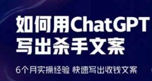 怎样用ChatGPT写下凶手创意文案,6个月实战经验,迅速写下收款创意文案-天天有课网