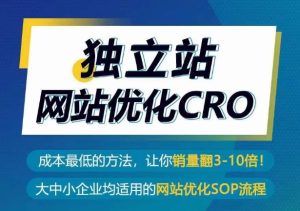 自建站seo优化CRO,成本最低的方式,使你销售量翻3-10倍-天天有课网