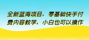 全新升级蓝海项目，零基础快手视频付费视频课堂教学，新手也可以操作【揭密】-天天有课网