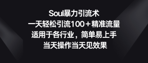 Soul暴力引流术，一天轻松引流100＋精准流量，适用于各行业，简单易上手！-天天有课网