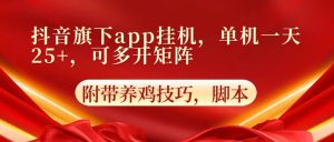 抖音视频集团旗下app自动点击,单机版一天盈利25 ,可以多开引流矩阵-天天有课网